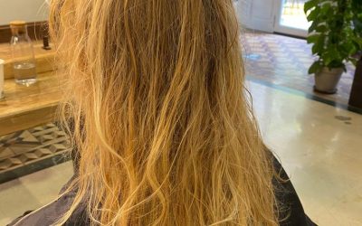 NOTAS DE PRENSA ENERO 2026