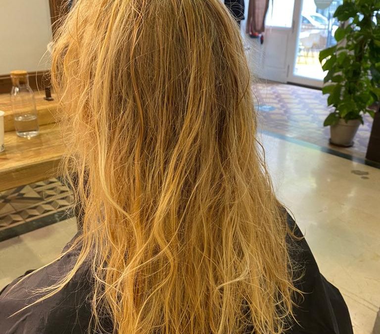 NOTAS DE PRENSA ENERO 2026